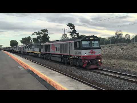 SCT CSR014 CF4430 CSR013 CF4429 CF4403 C502 C508 C503 6PM9 train Corio