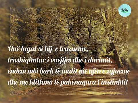 Migjeni- Recital i Malësorit (Me text & Audio)