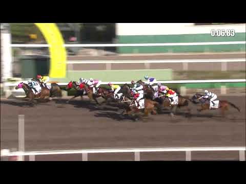 雙天至尊21/05/08……(659)第八塲三班1650泥