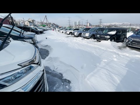 авторынок зеленый угол декабрь 2023. зелёный угол владивосток авторынок. авторынок зеленый угол декабрь 2023. зелёный угол 2022 год. 2022.