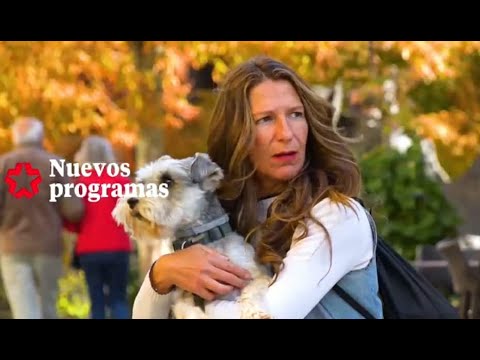 'Ruta 179' Nuevos programas
