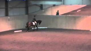 East Soley Open Dengie Dressage