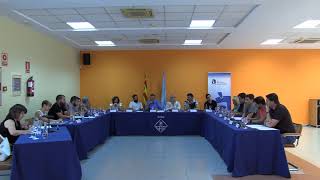 Ple municipal extraordinari de 4 de juliol de 2019