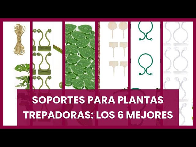 Vídeo relacionado con OFFCUP Estacas Soportes para Plantas, 6PCS 20x35cm Tutor Plantas, Reutilizable Metal Semicirculares Soportes para Plantas, Soporte para Plantas de Jardín para Flores Rosa Tomates Trepadoras Arbusto