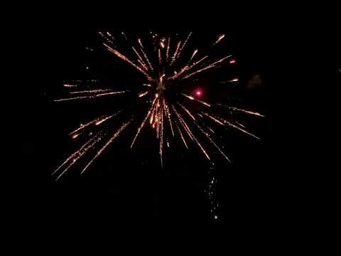 Nishiki Willow Dominator