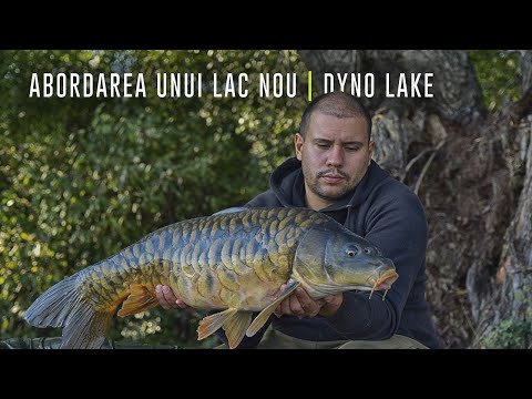 Abordarea unui lac nou | Dyno Lake