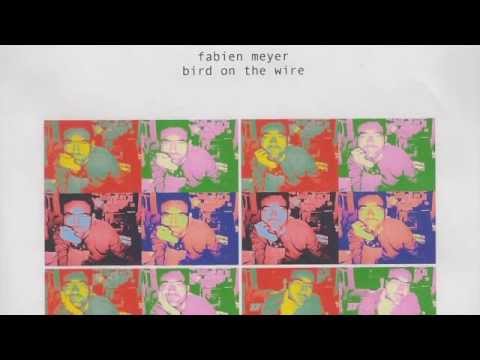 FABIEN MEYER - Bird on the Wire (Leonard COHEN Cover)