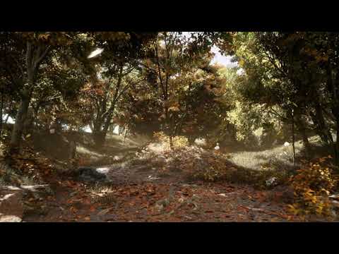 Unreal Engine 5 Autumn Forest