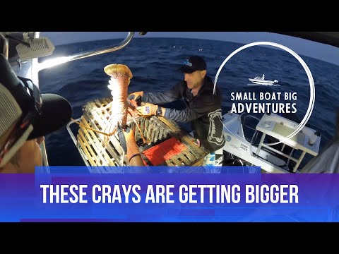 GROWING IN SIZE - Crayfishing 2025