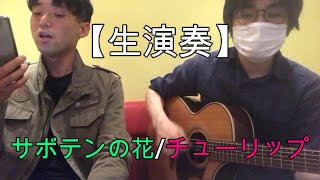 【生演奏】#4 サボテンの花/チューリップ