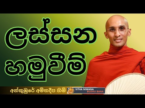 Ankumbure Amithadeepa Himi New Best #mahamevnawa Sinhala Dharma Deshana | ලස්සන හමුවීම්