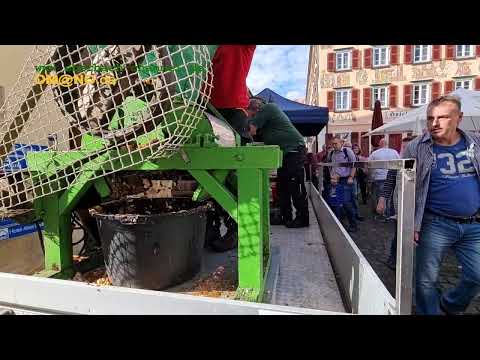 34. Eberbacher Apfeltag 16.10.2022