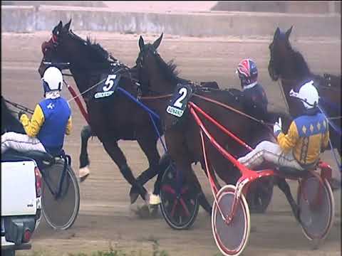 Trotto 14/01/2020 - 1ª corsa