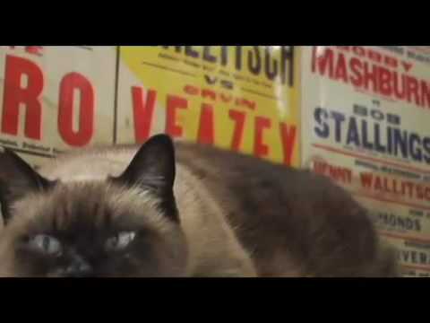 Glenn Braver Demo Reel - New York & Abroad