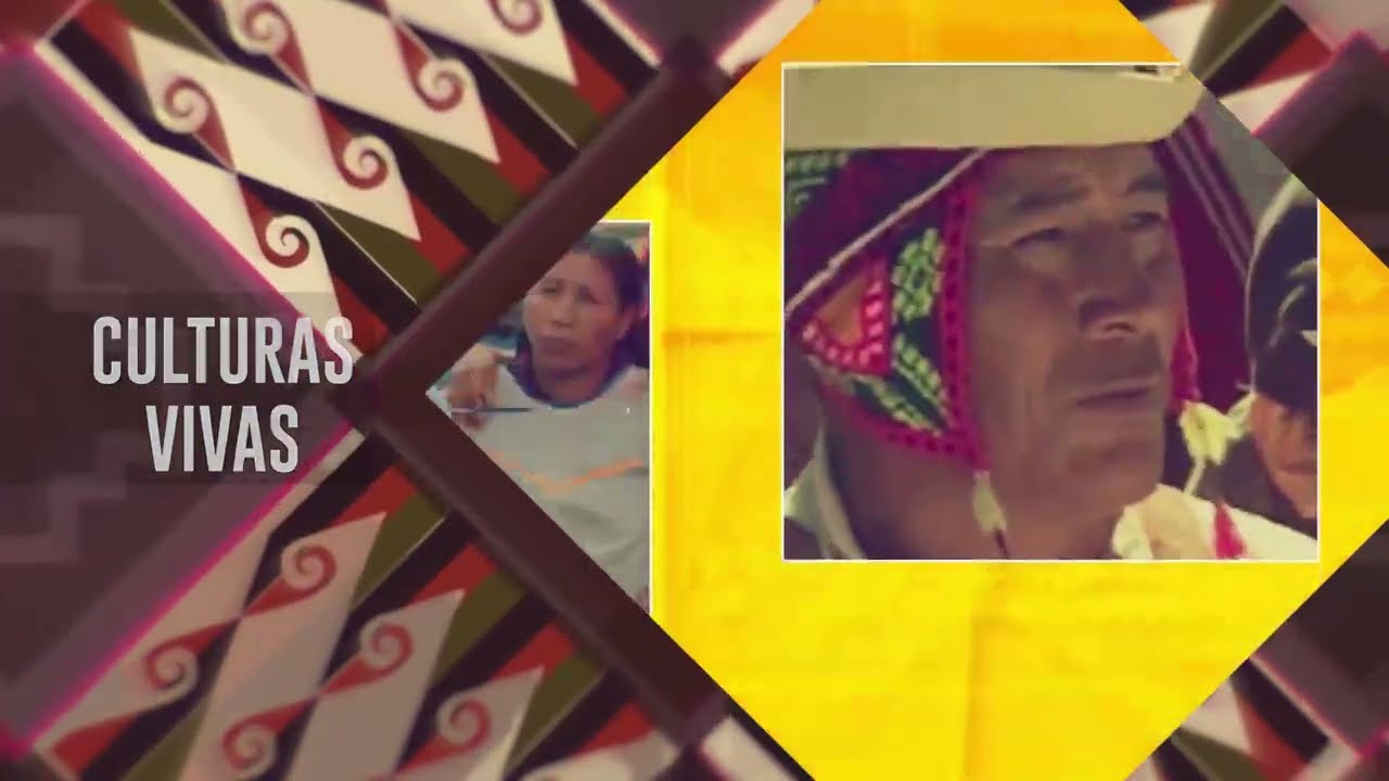 AVANCE PROGRAMA “CULTURAS VIVAS” NACIÓN M. KALLAWAYA