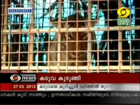 download lagu mp3 mp4 Kerala Kaduva, download lagu Kerala Kaduva gratis, unduh video klip Kerala Kaduva