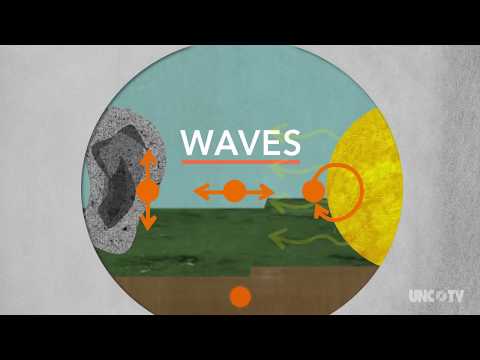image-What is a wave in science?