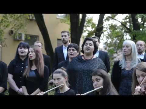 Autobus Kalypso - Akademski zbor i orkestar Veterinarskog fakulteta "Ab ovo"