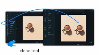 How to use the Clone tool - Ribbet web version