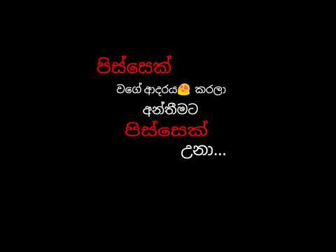 Sebe Adare Wadan Book Marketing