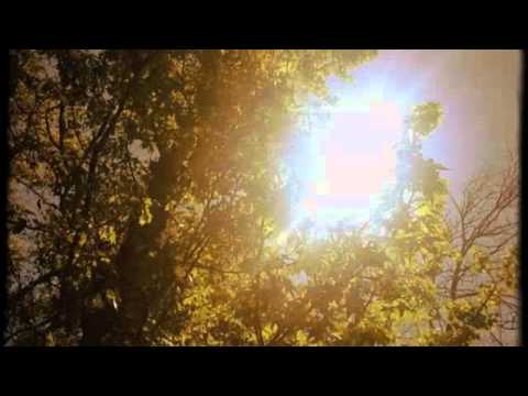 Faces Together ~ Ambients VOL. 1