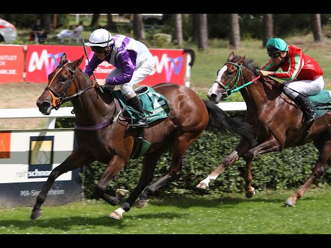 Mannheim: Bilder des Tages vom Renntag am 03. Juli 2020