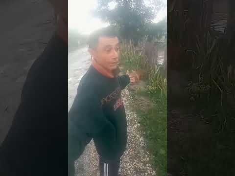 Dónde están los dirigentes? Preguntan pobladores de La 6, Cauto Cristo Cuba tras paso de #Melissa