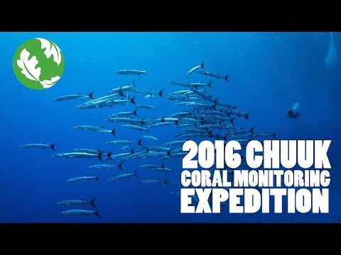 Chuuk Coral Expedition by TNC - July 2016