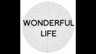 Goof: Wonderful Life? (Out now on Loveless Records)