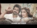 Halmathi Habibo Arabic Kuthu Slowed And Reverb Anirudh Ravichander Suntv