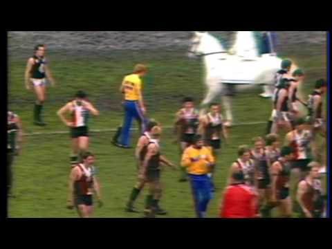 Three Quarter Time Break 1984 Round 16 St Kilda vs Carlton at Moorabin