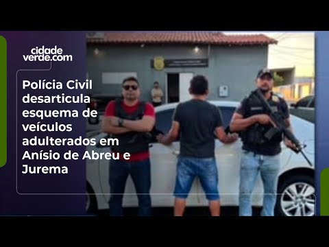 Polícia Civil desarticula esquema de veículos adulterados em Anísio de Abreu e Jurema