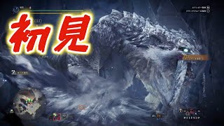【MHWI】「氷刃佩くベリオロス」初見