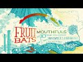 Fruit Bats - Mouthfuls 10 Year Anniversary - Live at The Neptune 11/14/13 - Full Concert