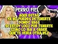Shakira ft Nicky Jam - Perro fiel (Letra) Shakira ft Nicky Jam - Perro fiel (Letra)