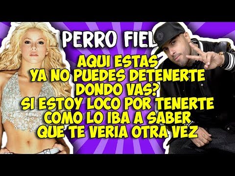 download lagu mp3 mp4 La Letra De Perro Fiel, download lagu La Letra De Perro Fiel gratis, unduh video klip La Letra De Perro Fiel
