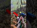 Scary hang gliding accident #shorts