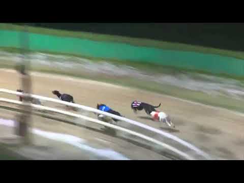 Signet Opal - Monmore - 9th January 2021