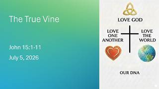 The True Vine