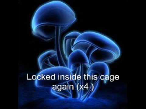 download lagu mp3 mp4 Infected Mushroom Artillery Lyrics, download lagu Infected Mushroom Artillery Lyrics gratis, unduh video klip Infected Mushroom Artillery Lyrics