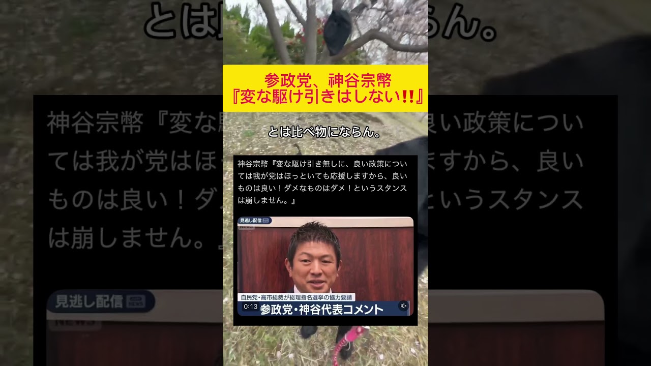 YouTubeサムネイル