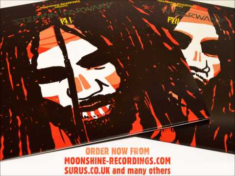 Zion Train - Share The Flame (Radikal Guru Remix)