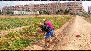 'Tócame' (parodia electrolatino) Estiu Jove Sedaví