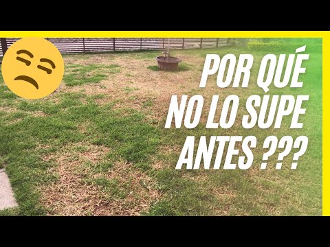🌱 Best ORGANIC Fertilizers to REVITALIZE your Lawn 🚀 !" (2/3)