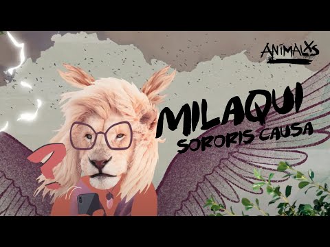 ANIMALXS CAP 11 - MILAQUI, AD SORORIS CAUSA