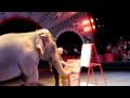 Circus Preshow Elephant Painting