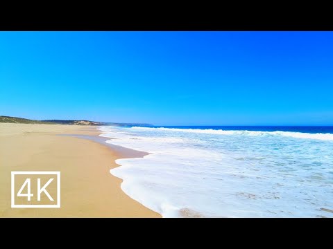 Incredibly relaxing FOREST & BEACH Walk: Praia do Meco, Portugal 4K Ultra HD