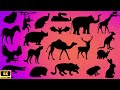 Guess The Shadow Of The Animals Quiz Shadow Game Learning Animals Video For Kids Family FunTime