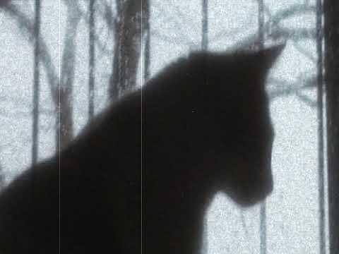 [FREE] skele x guardin x sendflowrs x midwest emo type beat - "Voices" (prod. mxtthxw x babieyummo)