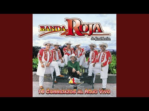 Entre Perico y Perico